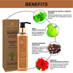 Body Gold Brahmi Amla Shampoo For Oily & Normal Hair | Grocsy