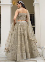 Vegaa Fashion Ivory Butterfly Net Embroidery Thread Designer Lehenga | Grocsy