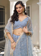 Vegaa Fashion Sky Blue Butterfly Net Embroidery Thread Designer Lehenga | Grocsy