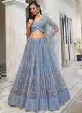 Vegaa Fashion Sky Blue Butterfly Net Embroidery Thread Designer Lehenga | Grocsy