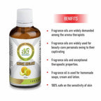 Ae Naturals Musk Melon Fragrance Oil | Grocsy