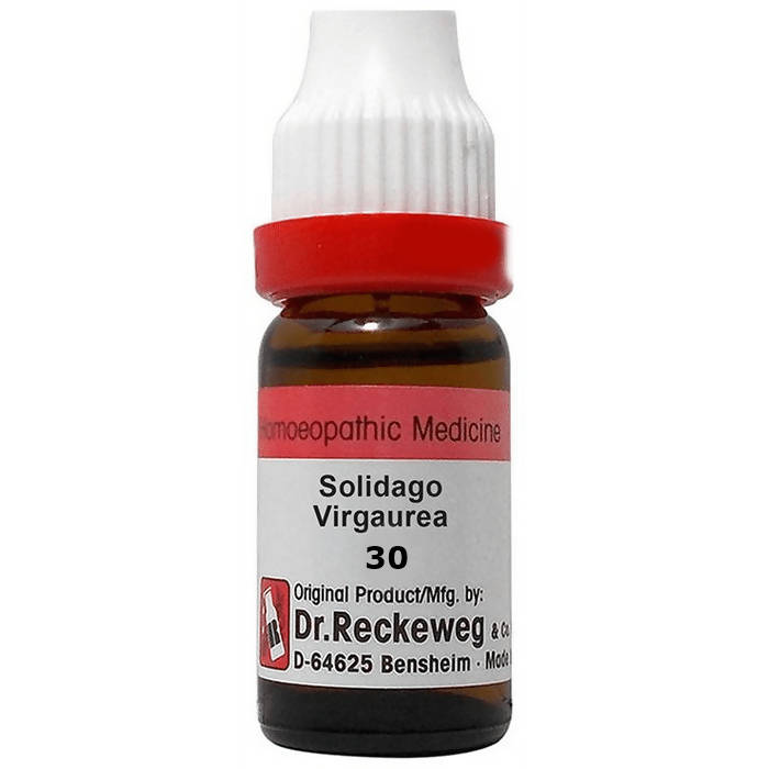 Dr. Reckeweg Solidago Virgaurea Dilution | Grocsy