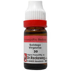 Dr. Reckeweg Solidago Virgaurea Dilution | Grocsy