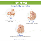 Vaseline Lip Therapy - Aloe | Grocsy