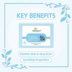 Earth Science Ayurveda Rosemary Lavender Bath Soap | Grocsy