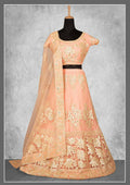 Light Orange Net, Satin Silk Cord And Floral Embroidery Semi-Stitched Lehenga Choli - Nimaya Kangan | Grocsy