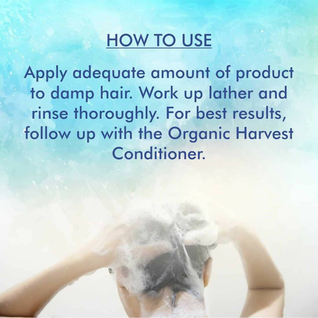 Organic Harvest Orgadyne Anti-Dandruff Shampoo | Grocsy