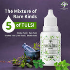 Vanalaya Panch Tulsi Drops | Grocsy