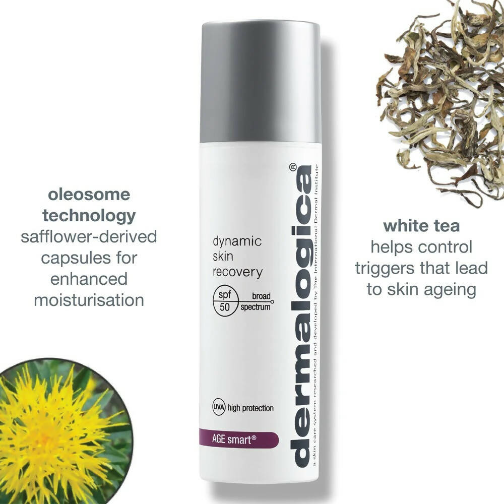 Dermalogica Dynamic Skin Recovery SPF 50 Face Moisturizer & Sunscreen | Grocsy