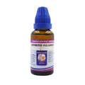 Father Muller Berberis Vulgaris Dilution | Grocsy