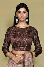 Brown Net Sequence Embroidered Festive Saree - Nimaya Denzy | Grocsy