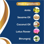Herbal Hills Ayurveda Keshohills Ultra Hair Oil | Grocsy