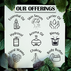 Deve Herbes Root Chakra (Muladhara) Oil | Grocsy