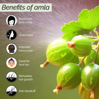 Pyoura Itchy Scalp Hair Growth Amla Hair Spray Serum Mist | Grocsy
