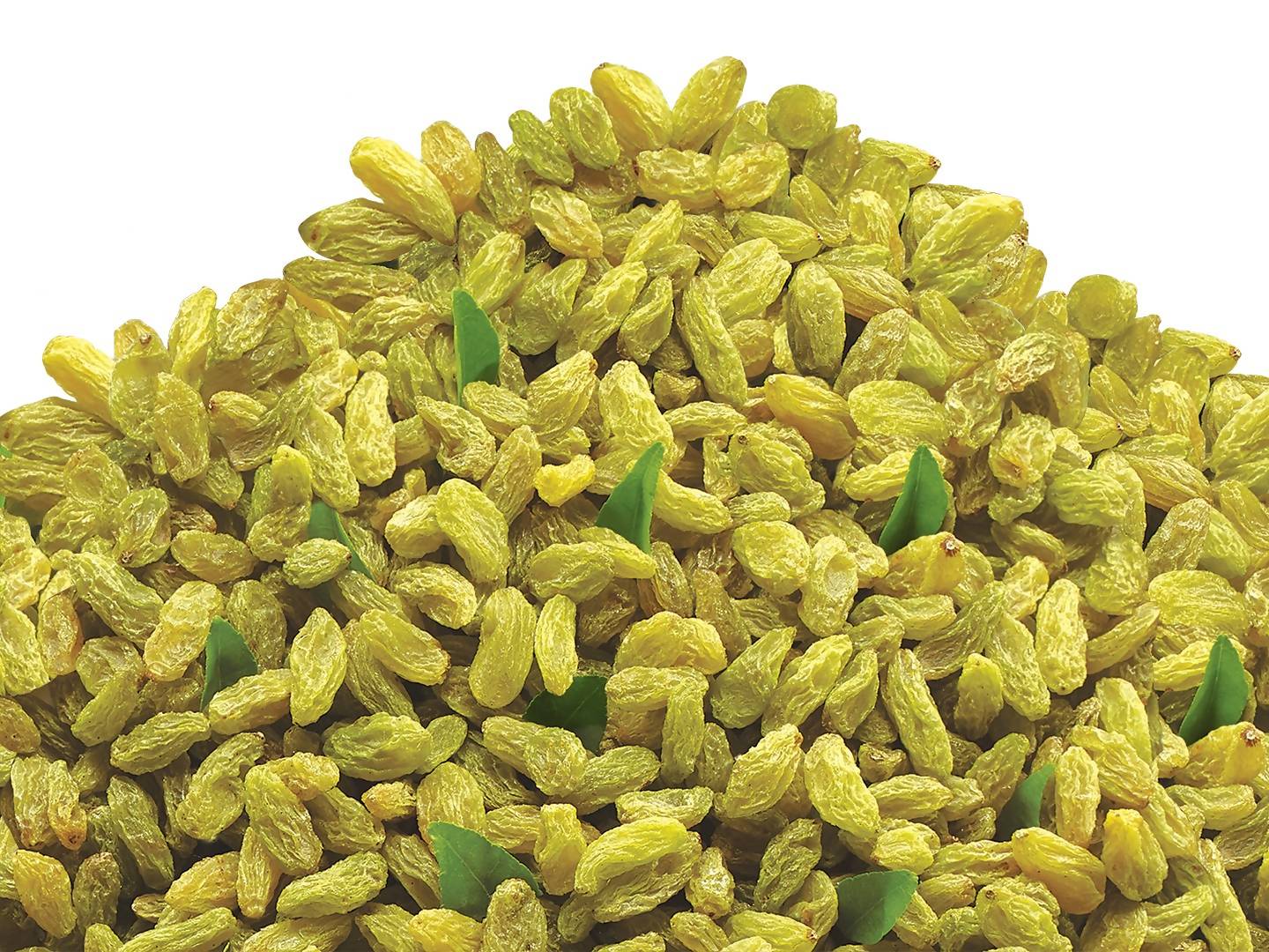 Bikanervala Kishmish (raisins) | Grocsy