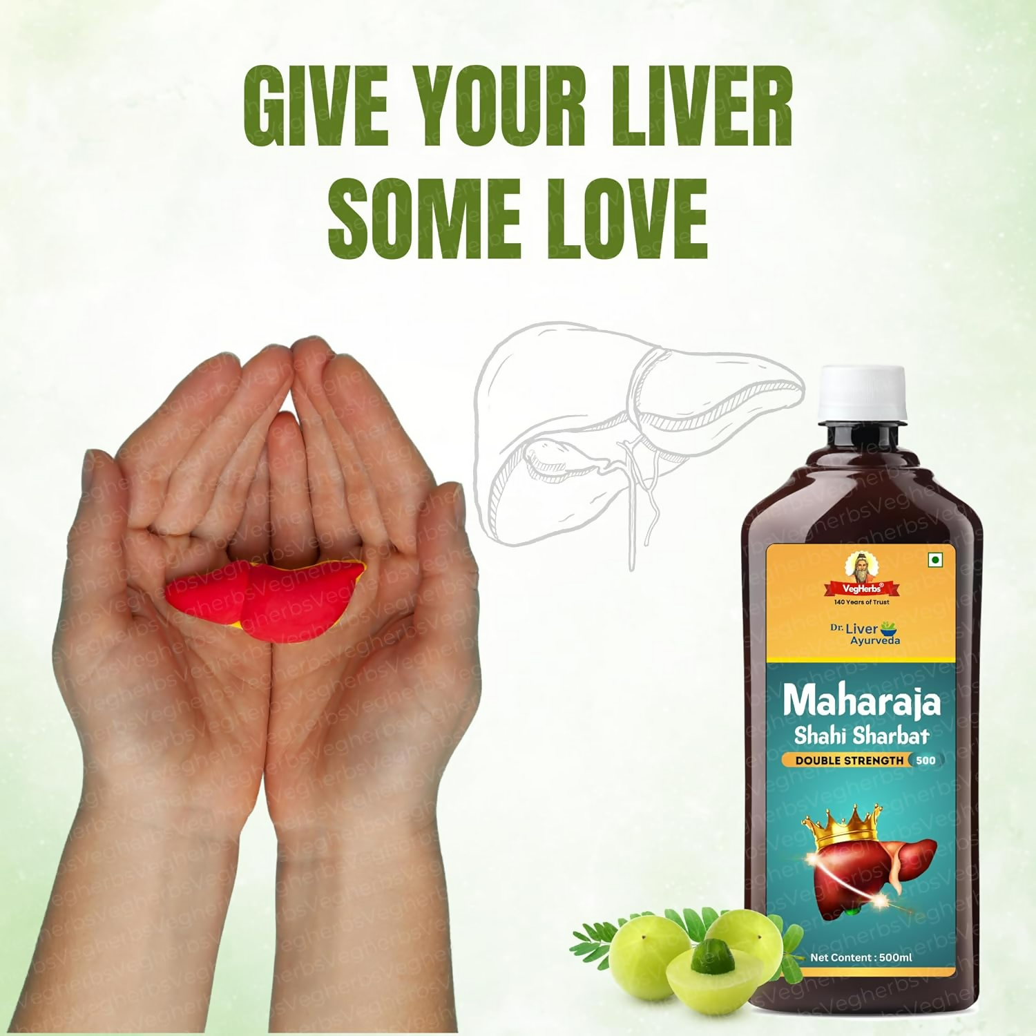 Vegherbs Maharaja Shahi Sharbat - DS | Grocsy