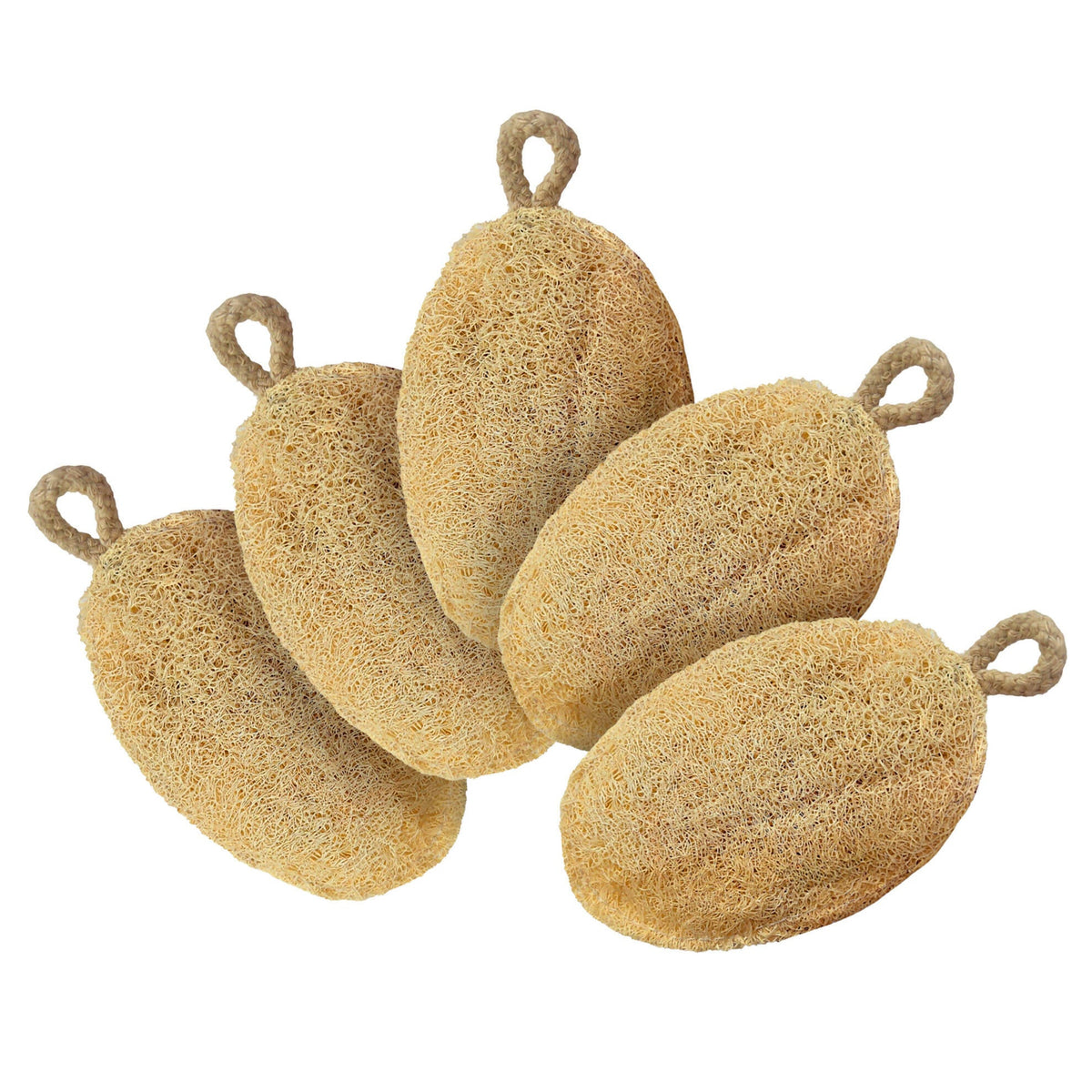 Careberry Earth-Embrace Exfoliating Loofah| Body Sponge Scrubber for Bathing | Bath Luffa Sponges | Grocsy