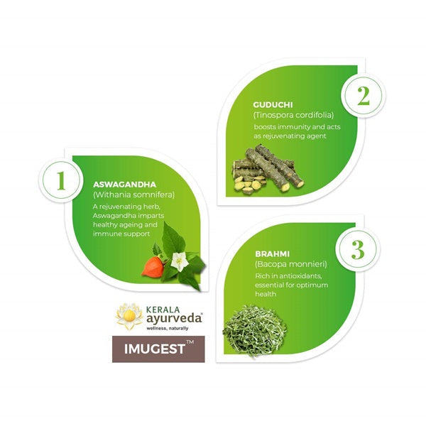 Kerala Ayurveda Imugest Tablet | Grocsy