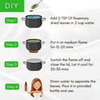 Mystiq Living Dried Rosemary Leaves for Hair Growth | Grocsy