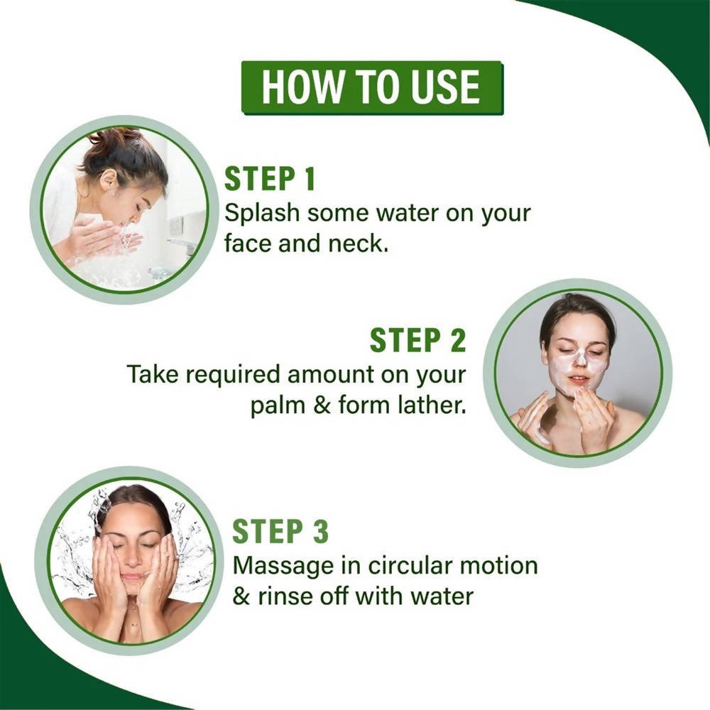 Aaryanveda Tea Tree With Neem Aloevera Face Wash | Grocsy