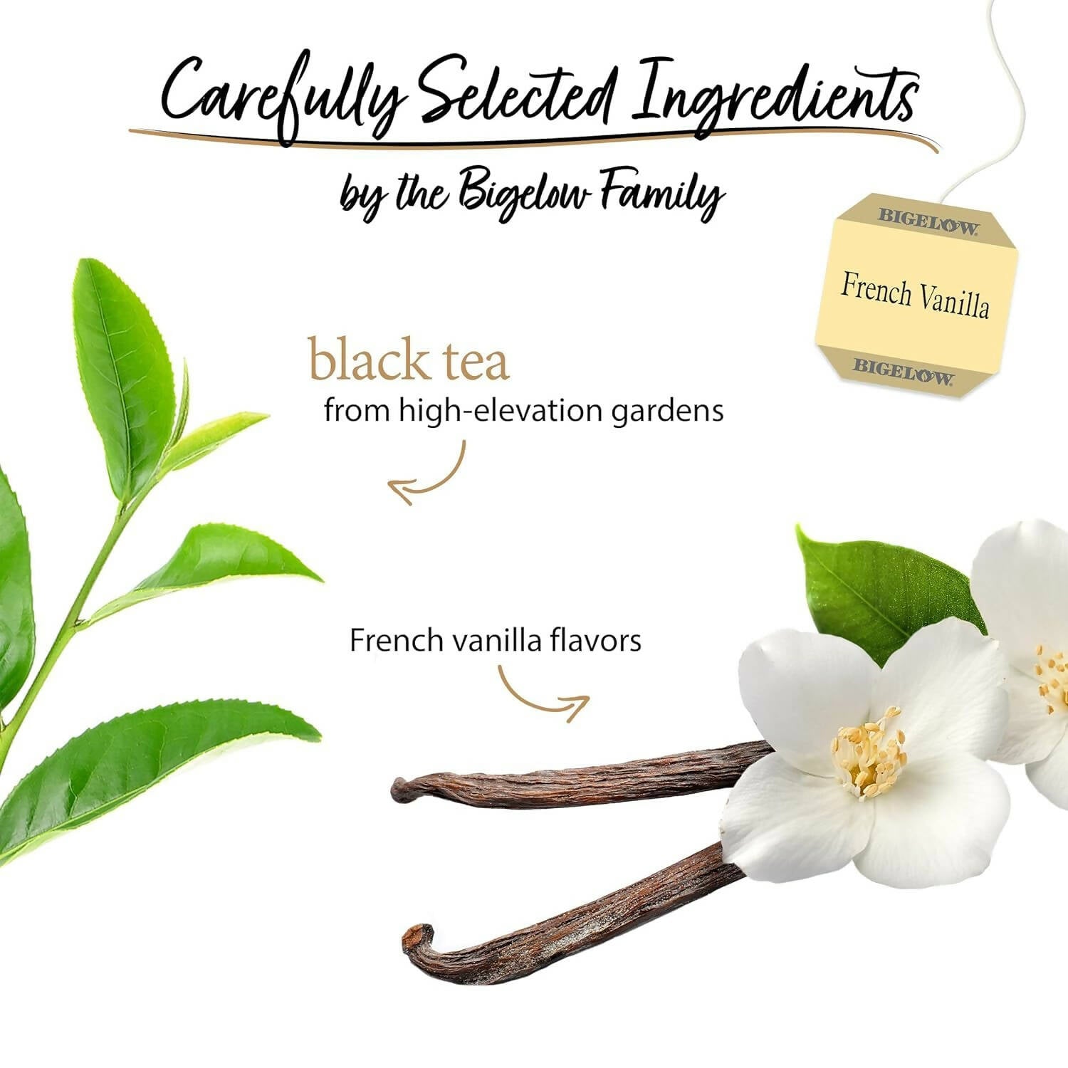 Bigelow Tea French Vanilla Black Tea Caffeinated Freshness & Aroma Caffeinated | Grocsy