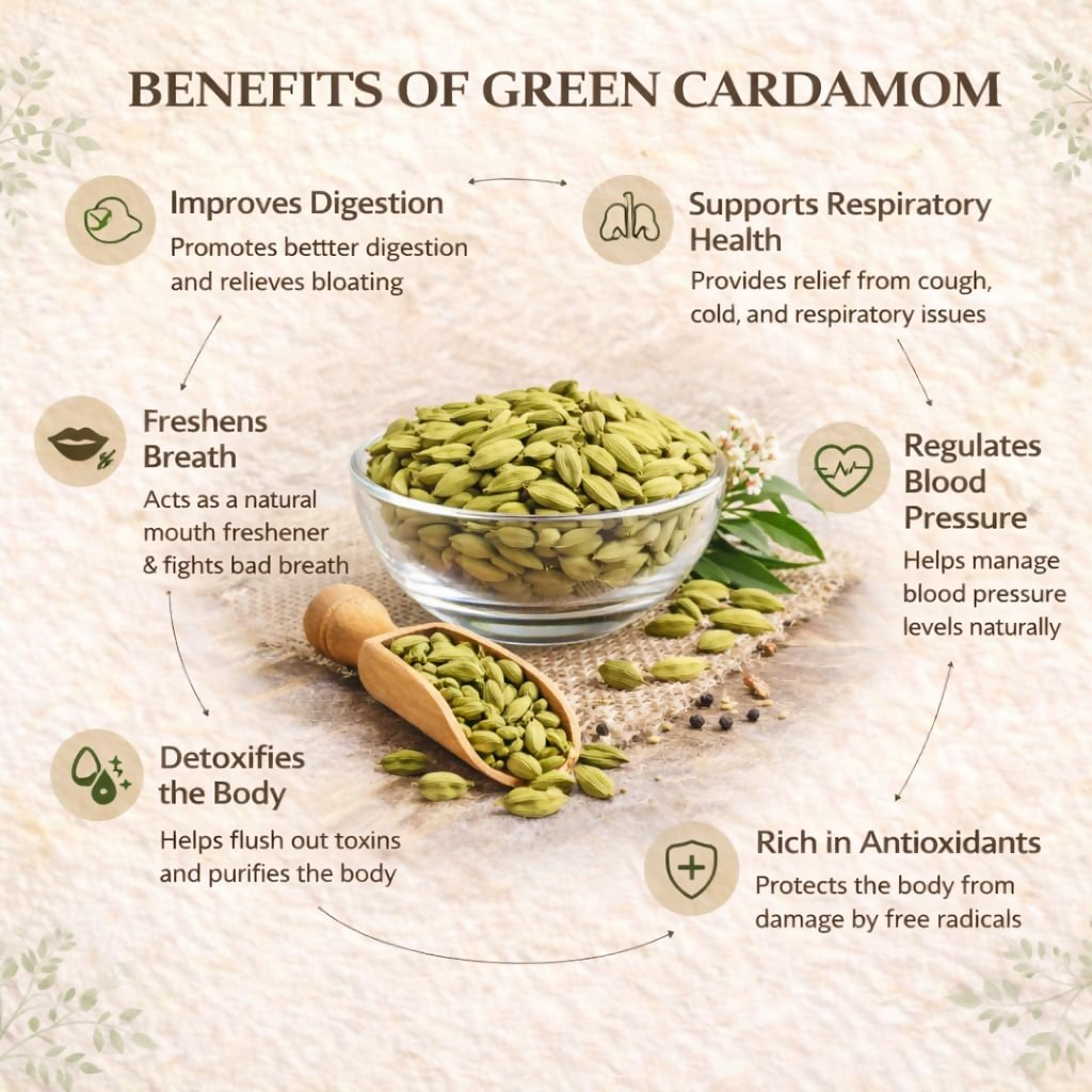 Village-Organica Green Cardamom (Elaichi) Whole – Handpicked | Grocsy