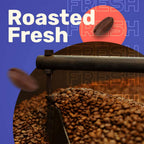 Sleepy Owl Dark Roast Cold Brew Coffee | Grocsy