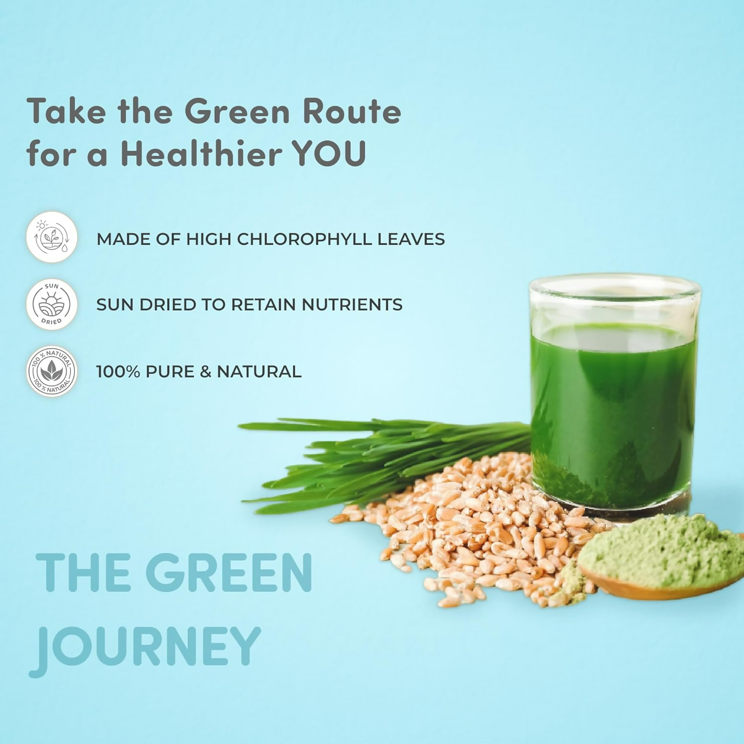 Mylo Care 100% Natural Wheatgrass Powder | Grocsy
