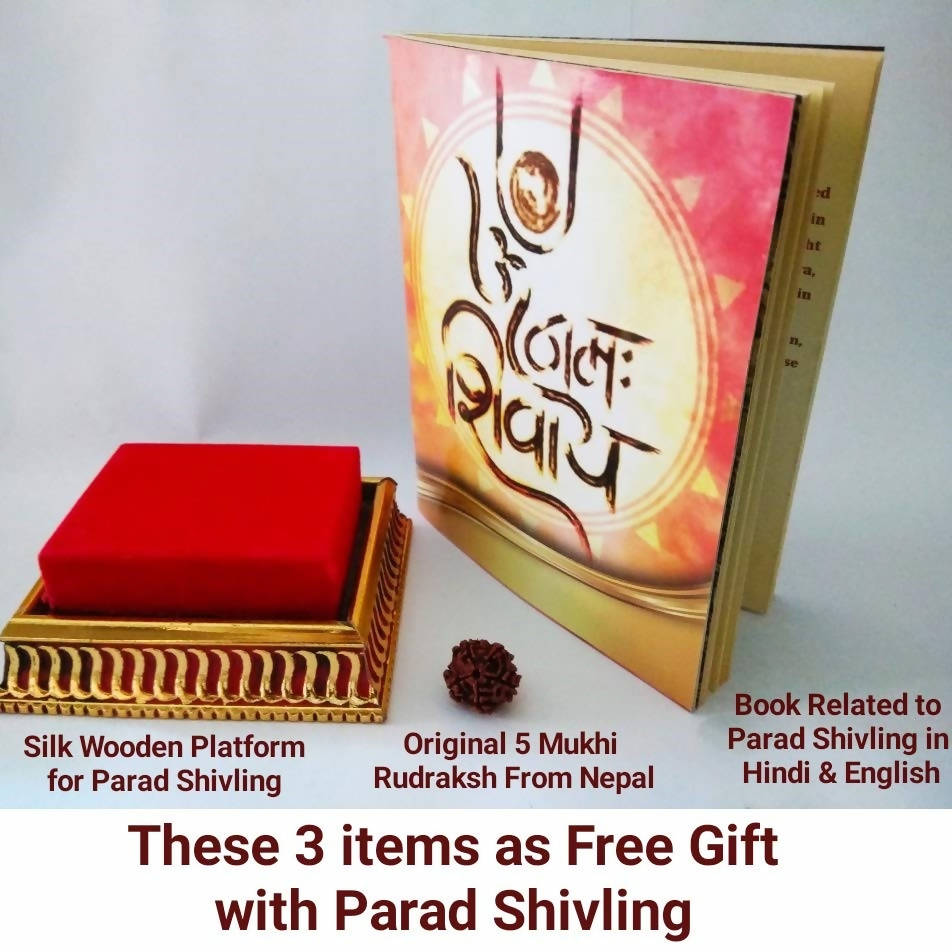‎G.S Rana Parad Shivling (50 Gram) Parad Shivling (29 mm) | Grocsy