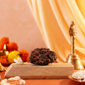 Pujashree Shivling Rudraksh – Divine Rudraksha for Lord Shiva Blessings, Spiritual Growth & Protection | Grocsy