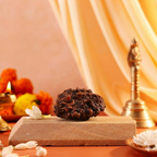 Pujashree Shivling Rudraksh – Divine Rudraksha for Lord Shiva Blessings, Spiritual Growth & Protection | Grocsy
