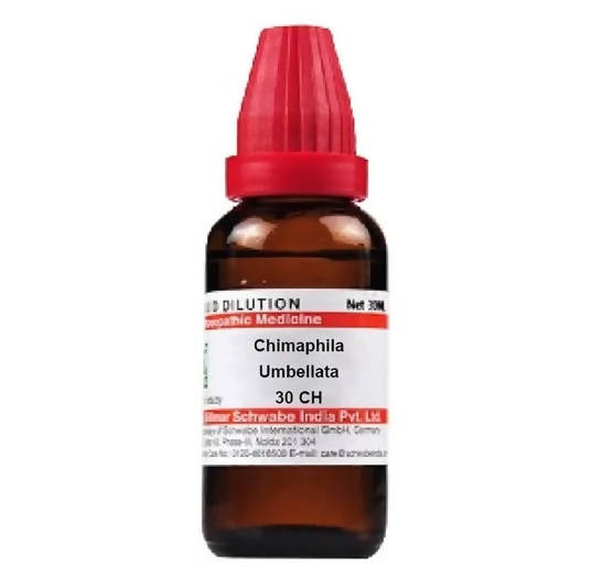 Dr. Willmar Schwabe India Chimaphila Umbellata Dilution | Grocsy