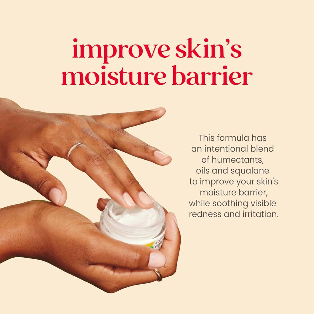 Burt's Bees Calming Night Cream with Aloe + Rice Milk for Sensitive Skin | Grocsy