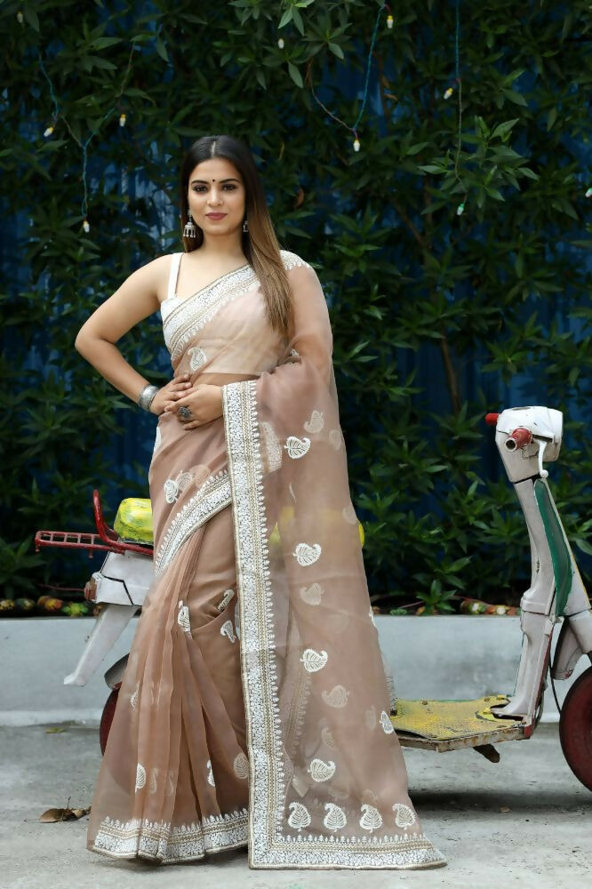 Vamsee Cotton Kerry Grey Organza Saree | Grocsy