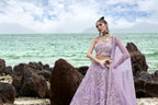 House of Panchhi Mauve Net Multi Sequins with heavy Zarkan embroidery Lehenga choli & Dupatta | Grocsy