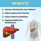 Herbal Hills Liv - First Liver Support Tablets | Grocsy
