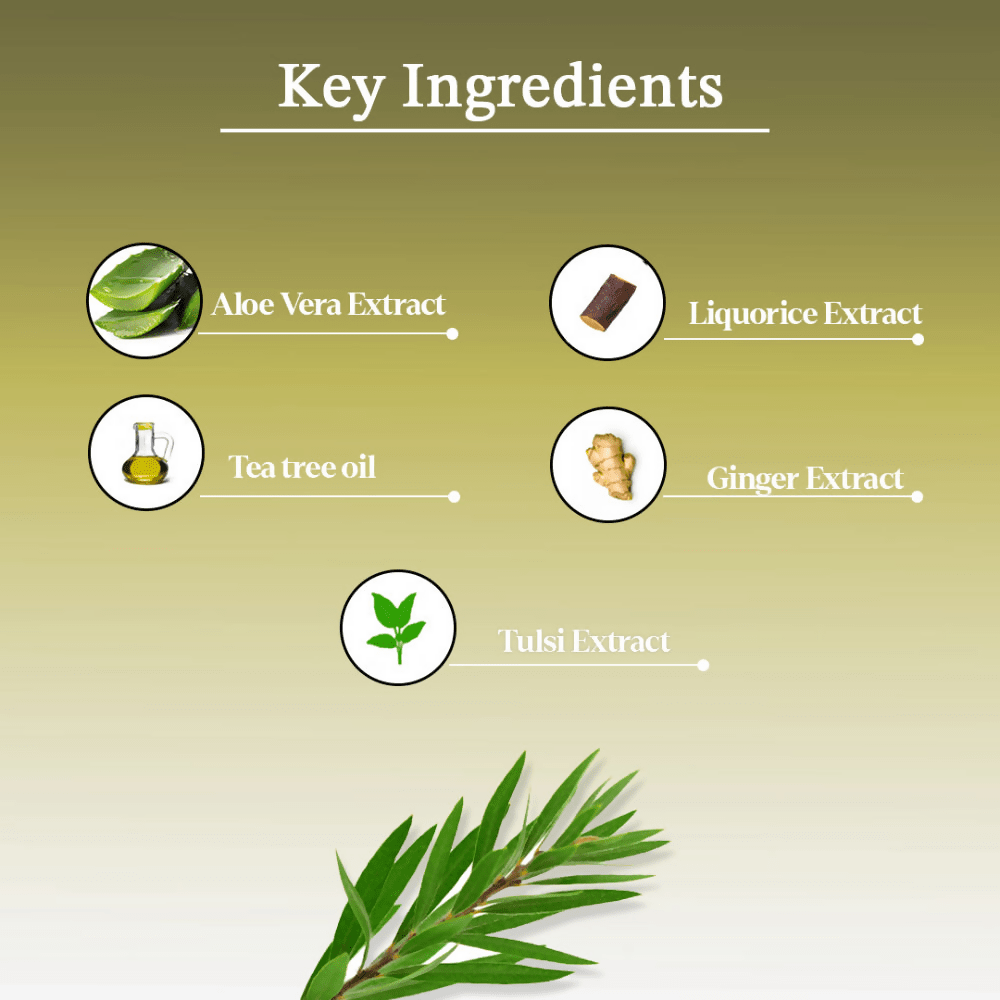 AYA Australian Tea Tree Face Mask | Grocsy