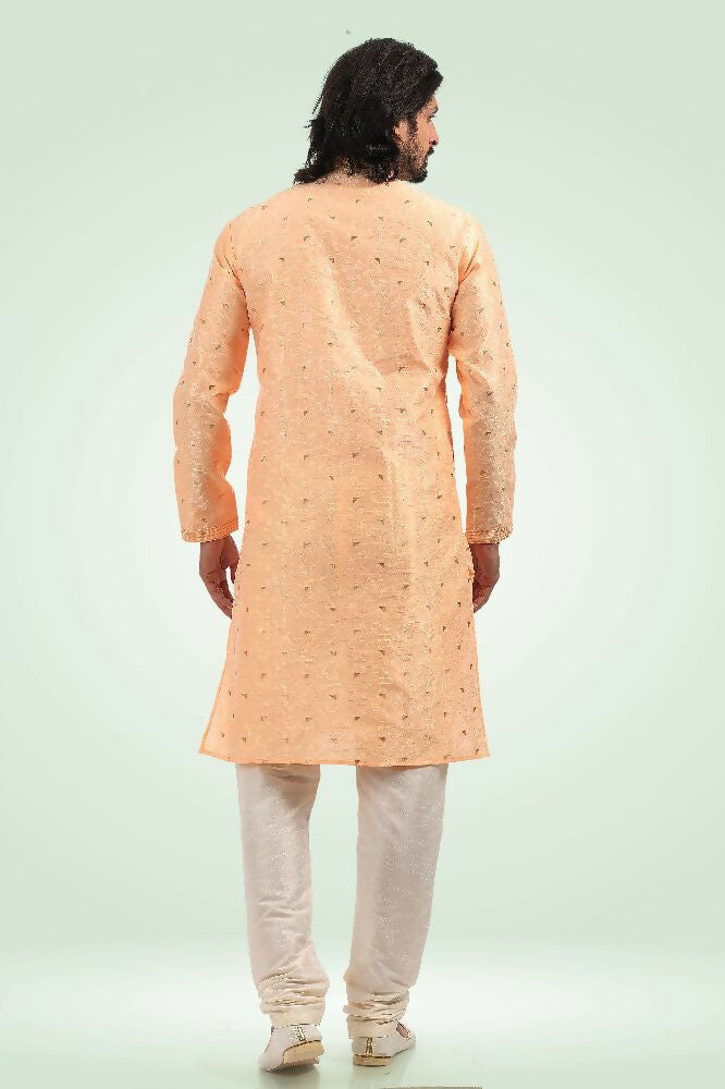 Raivat Ethnic Jacquard Banarasi Silk Pintux Work Kurta Pajama In Peach Colour | Grocsy