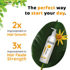 Habibs Professional Hair Shampoo with Arnica To Improve your Scalp Health for Daily Use | Grocsy