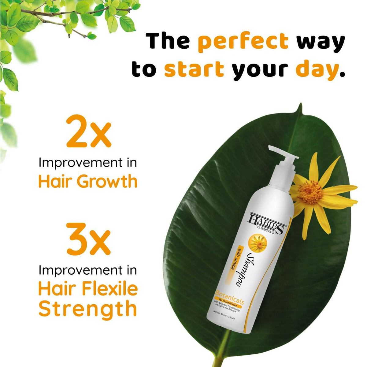 Habibs Professional Hair Shampoo with Arnica To Improve your Scalp Health for Daily Use | Grocsy