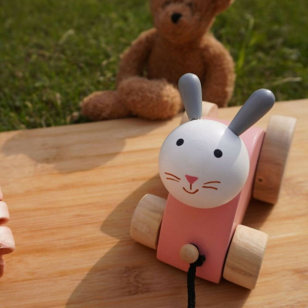 Matoyi Rabbit Wooden Pull Along Toy For Kids | Grocsy