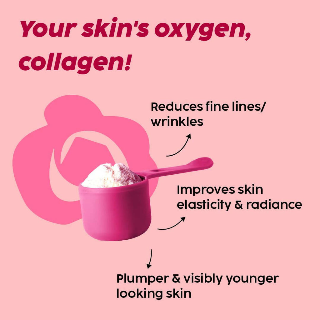 PLIX The Plant Fix Wholefood Collagen Builder Powder for Skin - Rose | Grocsy