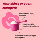 PLIX The Plant Fix Wholefood Collagen Builder Powder for Skin - Rose | Grocsy