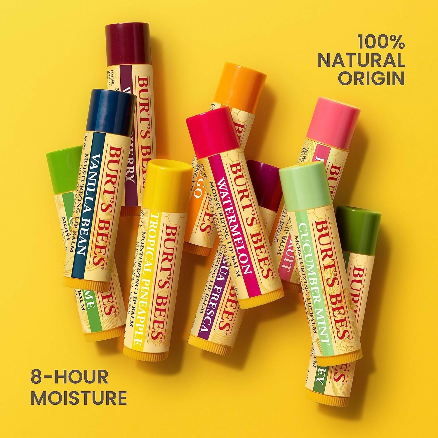 Burt's Bees Natural Moisturizing Lip Balms (Original Beeswax, Strawberry, Coconut & Pear, Vanilla Bean) | Grocsy