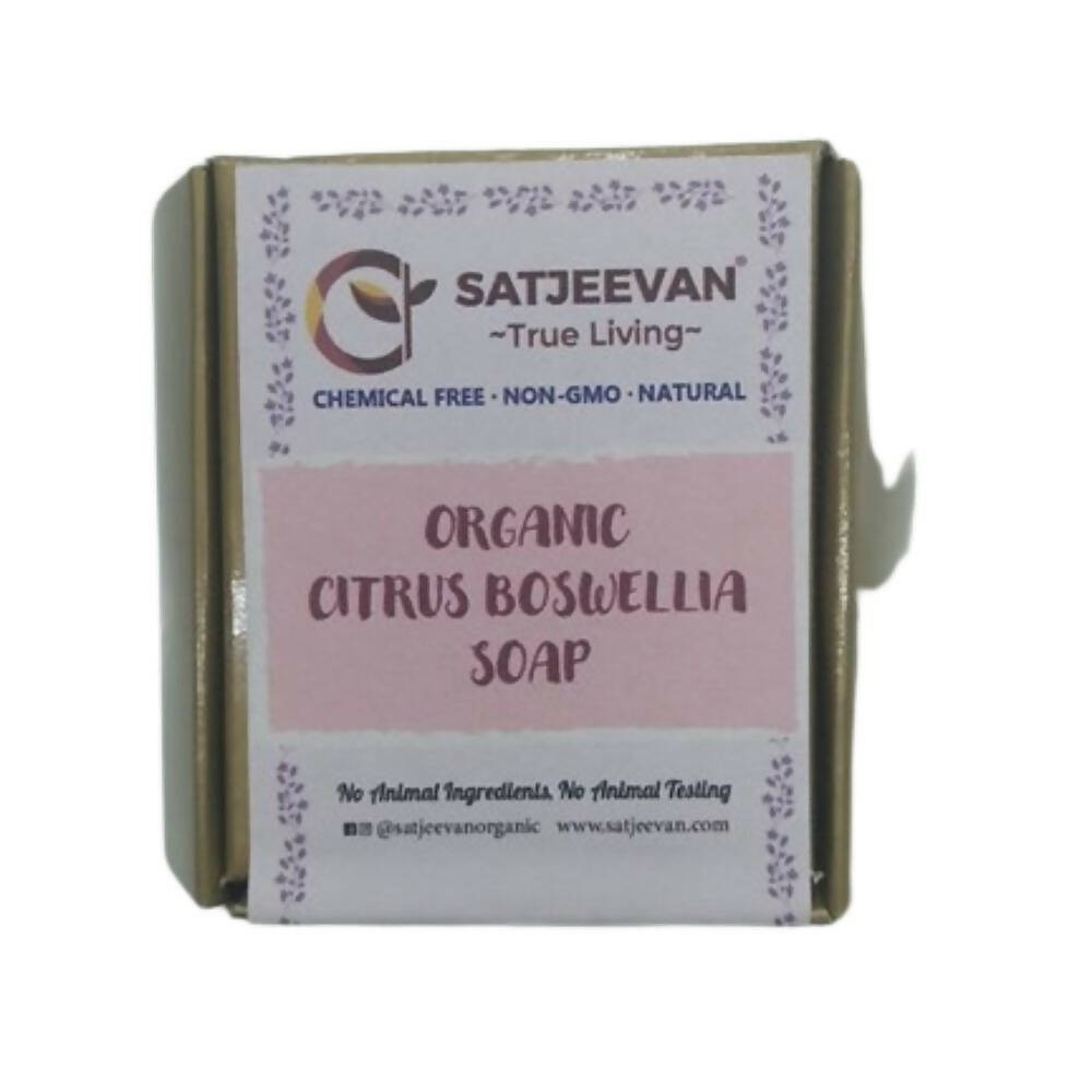 Satjeevan Organic Citrus Boswellia Soap | Grocsy