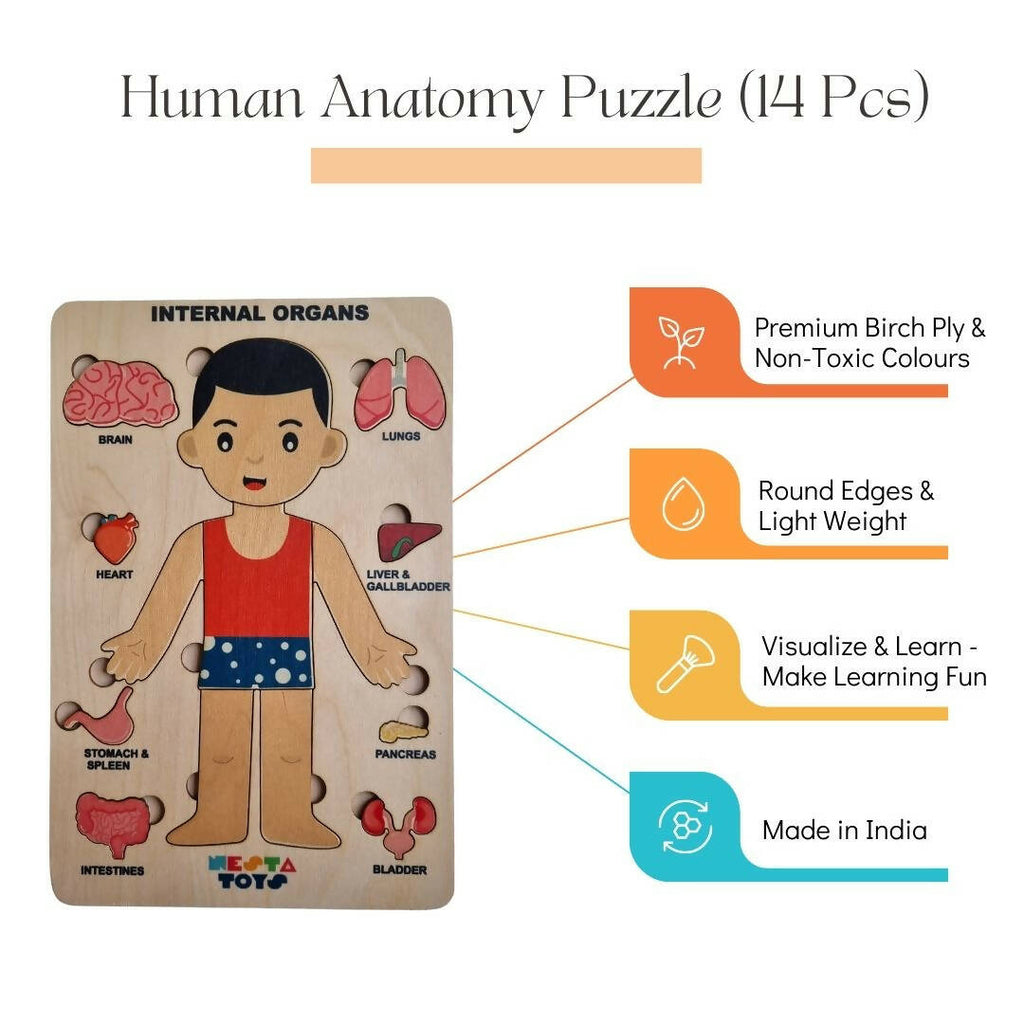 Nesta Toys Human Body | Internal Organs Wooden Puzzle | Grocsy