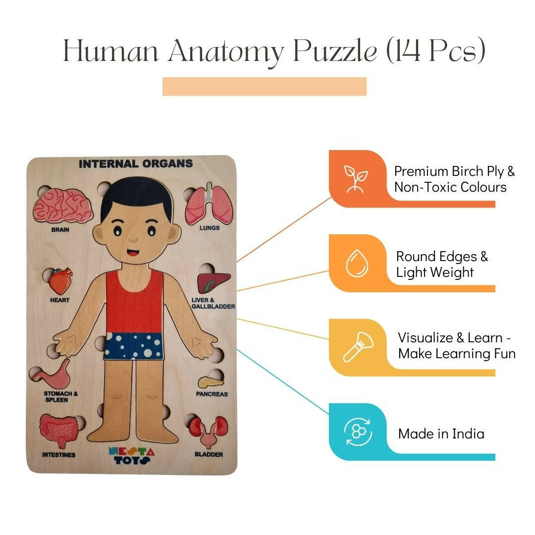 Nesta Toys Human Body | Internal Organs Wooden Puzzle | Grocsy
