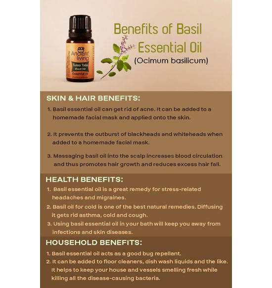 Ancient Living Tulasi Taila (Basil Oil) Essential Oil | Grocsy