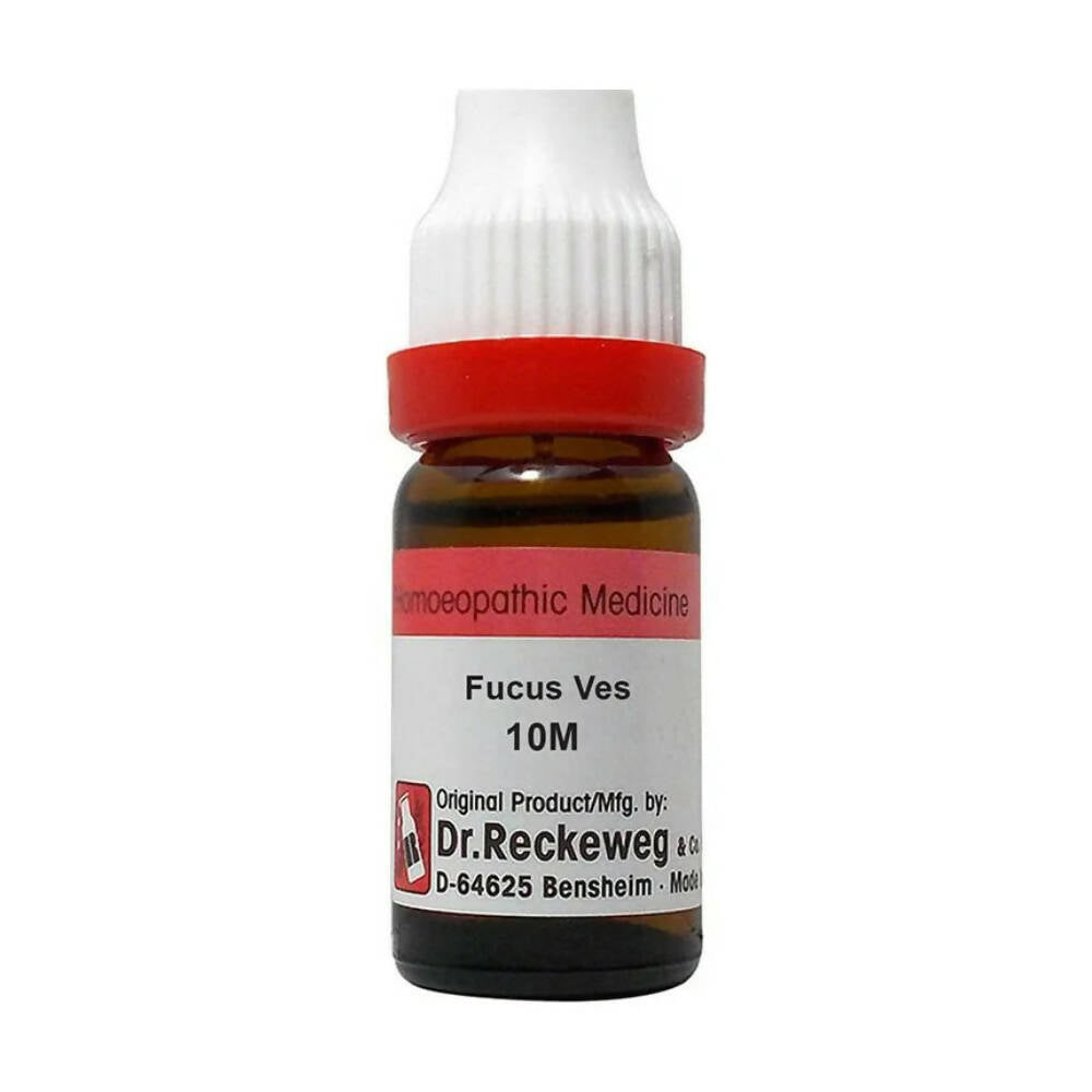 Dr. Reckeweg Fucus Ves Dilution | Grocsy
