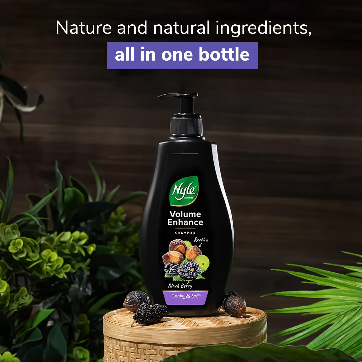 Nyle Naturals Volume Enhance Shampoo With Blackberry Reetha and Amla Gentle & Soft | Grocsy